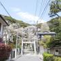 Japon - 