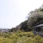 Japon - 