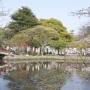 Japon - 