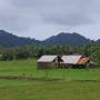 Cambodge - 