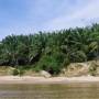 Malaisie - 
