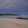 Équateur - GALAPAGOS - île de Santa Cruz - tortuga bay