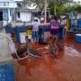 Équateur - GALAPAGOS - île de Santa Cruz - marché aux poissons