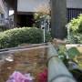 Japon - 