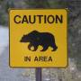 Canada - Caution Bear