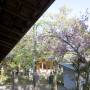 Japon - 