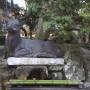 Japon - 