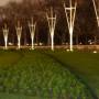 Royaume-Uni - 