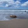 Costa Rica - 