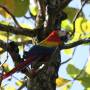 Costa Rica - 
