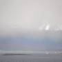 Argentine - 
