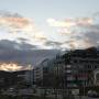 Argentine - 