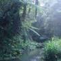 Australie - 