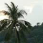 Thaïlande - Kohtao