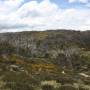Australie - 