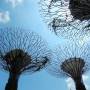 Singapour - 