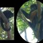 Costa Rica - 