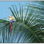 Costa Rica - 