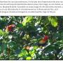 Costa Rica - 