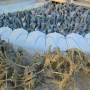 Thaïlande - 