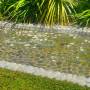 Nouvelle-Zélande - Botanic Garden