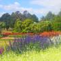 Nouvelle-Zélande - Botanic Garden
