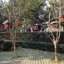 Chine - quotidien de SH