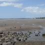 Nouvelle-Zélande - A la plage !