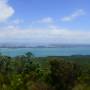 Nouvelle-Zélande - Rangitoto Island