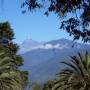 Bolivie - Coroico - vue depuis la terrasse de notre cabane 