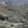 USA - phoenix, route des appaches, arizona,usa 