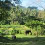 Thaïlande - mae sariang 