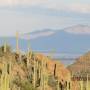 USA - gates pass,désert de sonora,pres de tucson,arizona,usa