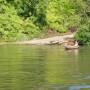 Costa Rica - Mangrove