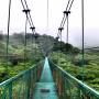 Costa Rica - cloud forest