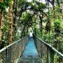 Costa Rica - cloud forest