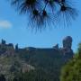 Les Canaries - 