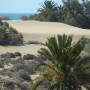 Les Canaries - 