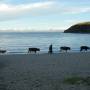 Bolivie - 