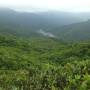 Hong Kong - HK trek
