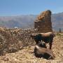 Pérou - Canyon del Colca