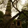 Viêt Nam - temple de hoan kiem