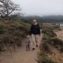 USA - Point lobos
