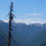 Canada - Flower ridge trail