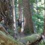 Canada - Flower ridge trail
