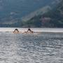 Canada - Paddle yoga