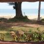 Thaïlande - Vue du restaurant a midi