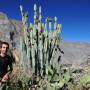 Pérou - Canyon del Colca