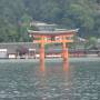 Japon - Sanctuaire shinto d