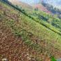 Laos - 